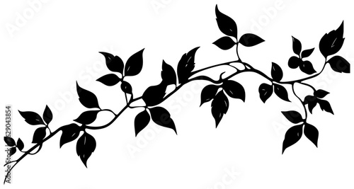 Virginia creeper vine decoration silhouette