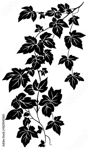 Virginia creeper vine decoration silhouette