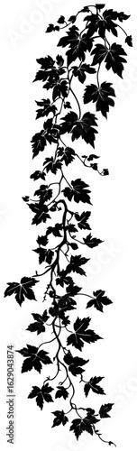 Virginia creeper vine decoration silhouette