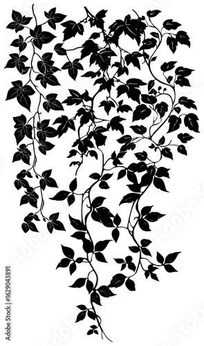 Virginia creeper vine decoration silhouette