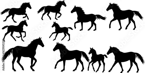 Collection of horse silhouettes set vector illustration. isolated on white background
