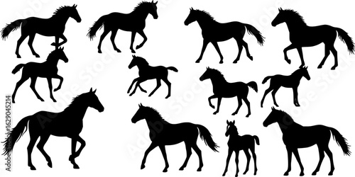 Collection of horse silhouettes set vector illustration. isolated on white background
