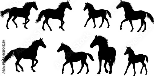 Collection of horse silhouettes set vector illustration. isolated on white background
