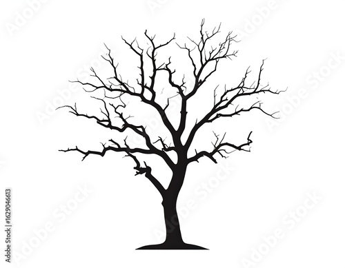 A stark black silhouette of a leafless tree against a white background
