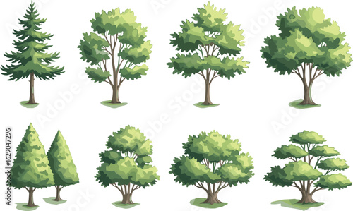  Collection of various deciduous and coniferous tree species, green forest trees set, natural landscape elements, flat vector.eps