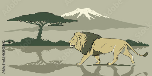  Vector illustration of  lion mirrored in water with Mount Kilimanjaro in the mountain background.