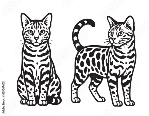 Adobe Illustrator Artwork