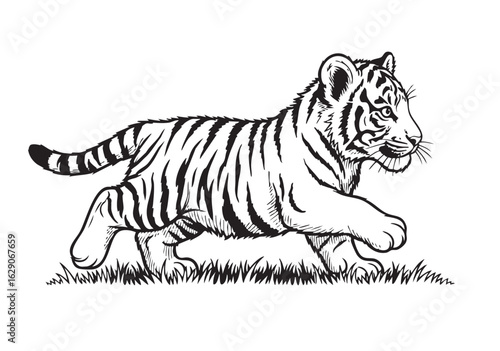 Adobe Illustrator Artwork