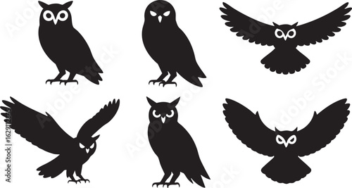 Collection of owl silhouettes in various poses silhouette
