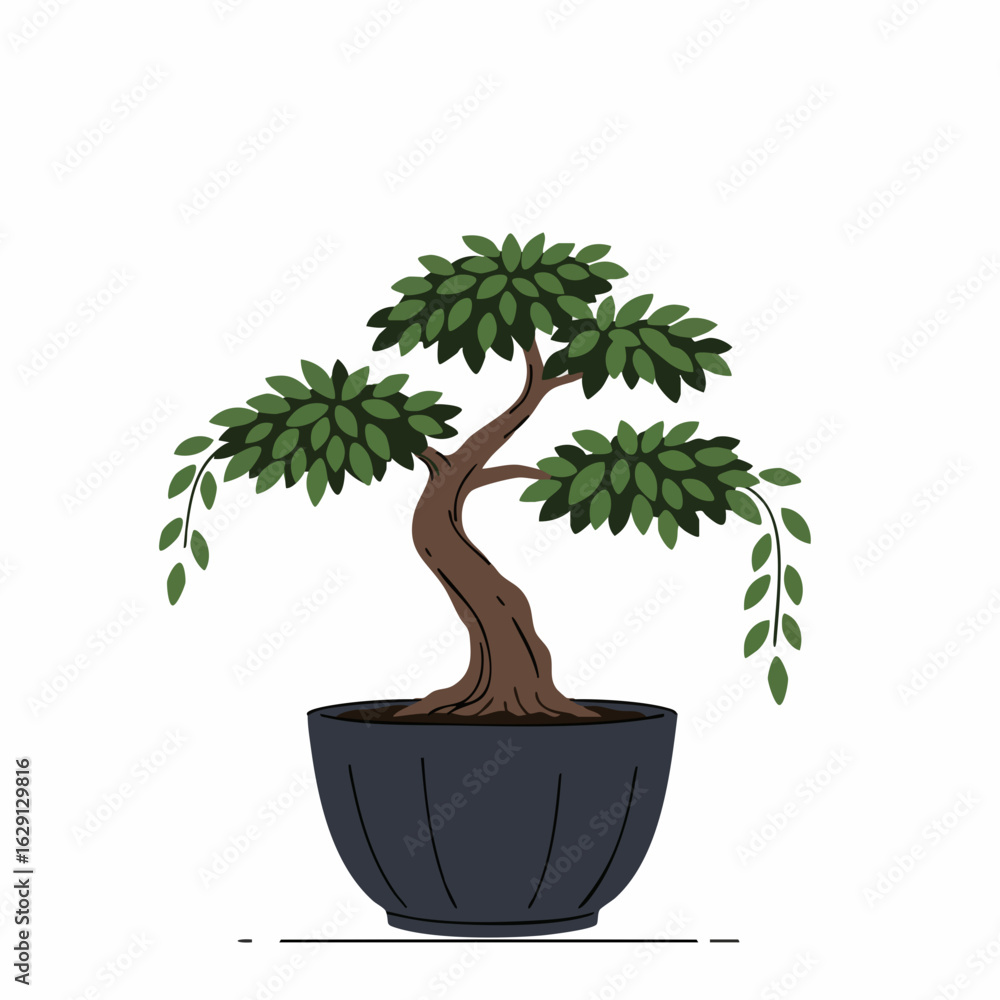 Obraz premium Serene Bonsai Tree in Dark Pot with Cascading Branches