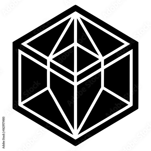 Abstract geometric black and white hexagon shape with internal lines forming a complex three dimensional cube illusion