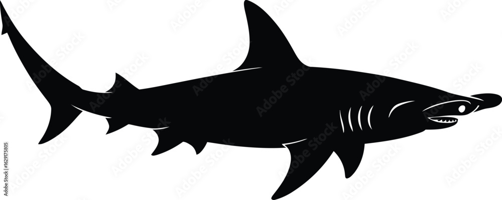 Obraz premium Hammerhead shark silhouette black white