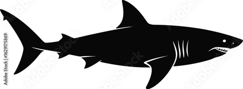 Black shark silhouette ocean marine life
