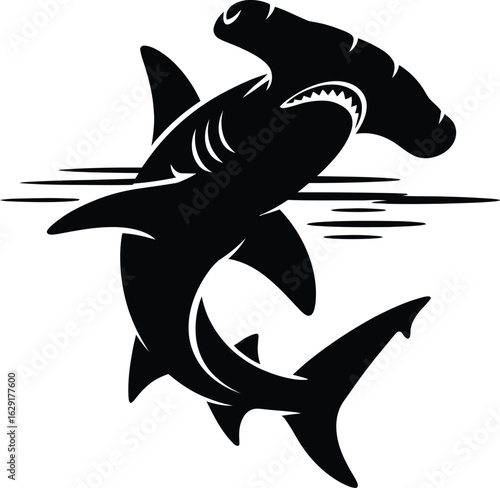 Hammerhead sharks swimming underwater marine life ocean