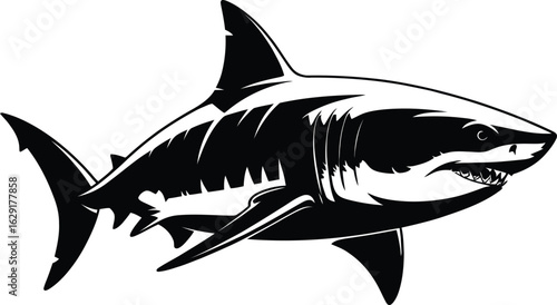 Fierce great white shark swimming marine life ocean