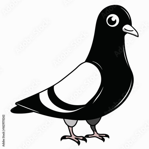 vector illustration of a pigeon
