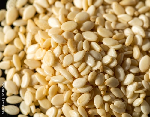 Toasted White Sesame Seeds on Black Background