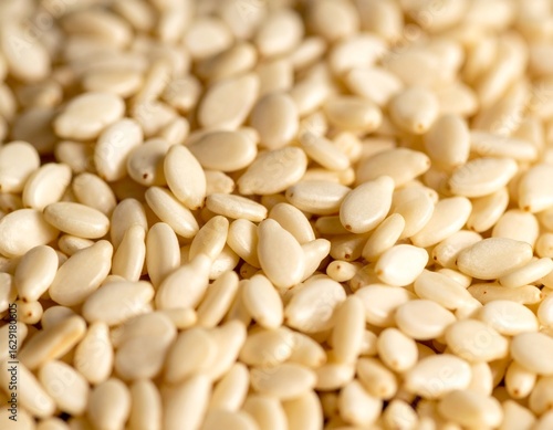 Toasted White Sesame Seeds Isolated Background