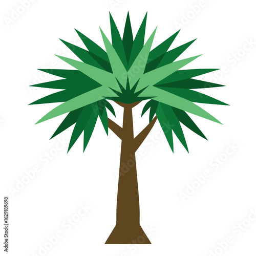 Dragon tree with spiky fan shaped leaves vector on white background.