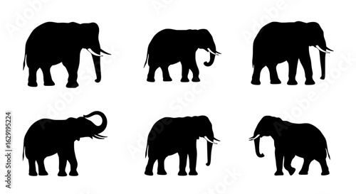 Elephant Silhouettes: A captivating series of elegant elephant silhouettes, offering a versatile resource for design, illustration, or educational purposes.