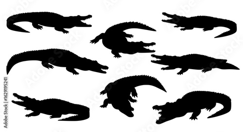 Silhouette of Alligator: A collection of silhouetted alligators in various poses, providing a striking visual representation of these prehistoric creatures.