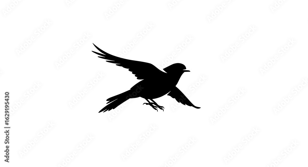 Obraz premium Silhouette of a Bird in Flight: A striking silhouette captures a bird soaring gracefully, its wings outstretched in a moment of freedom.