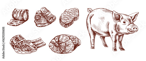 Adobe Illustrator Artwork