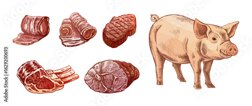 Adobe Illustrator Artwork