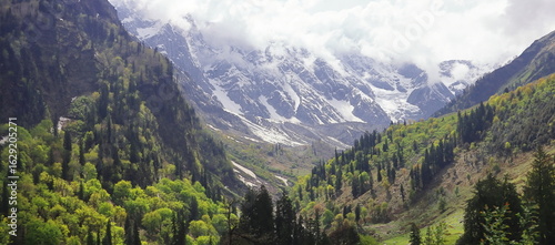 scenic mountain landscape, snowcapped himalaya and lush green forest near atal tunnel, manali hillstation in kullu valley in himachal pradesh, india