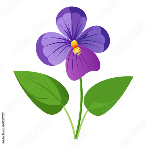 prairie violet  vector  on white background