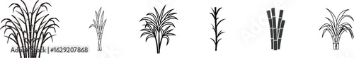 Sugarcane Plant Vector Illustration, Black and white Sugarcane black Silhouette.