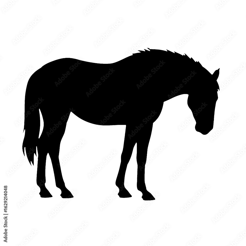 Obraz premium Black silhouette of a horse standing with head down on white background