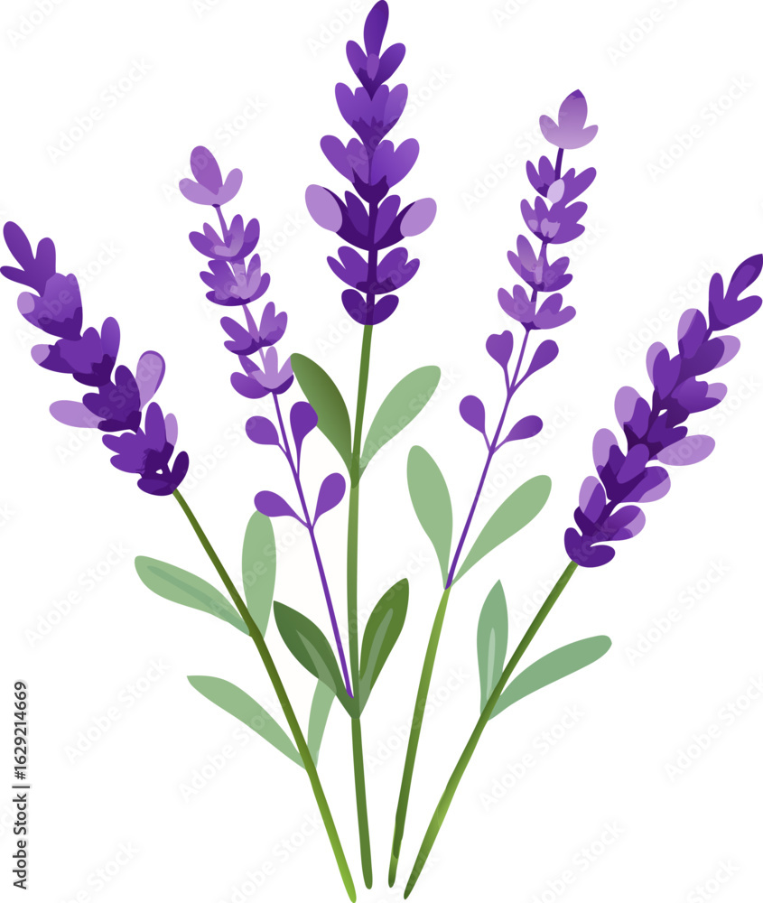 Fototapeta premium Bouquet of blue flowers