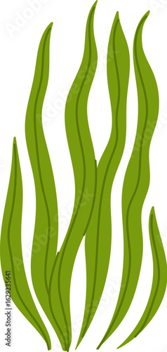 Tropical sea ocean water seaweed or algae. Tropical sea underwater isolated vector plant, coral reef aquatic wildlife algae. Aquarium water or ocean undersea flora seaweed