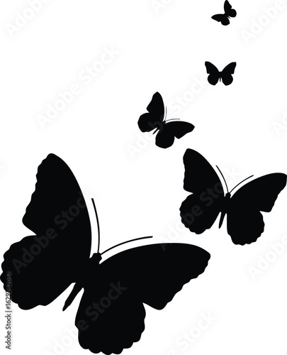 Set of butterfly silhouettes vector illustration with black wings and nature design elements
