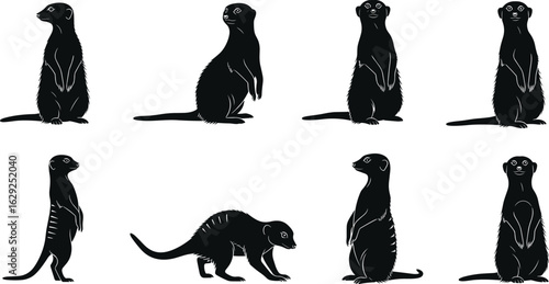 Meerkat silhouette collection, animal pose variation, wildlife behavior illustration, alert standing position, walking and sitting movements for nature reference
