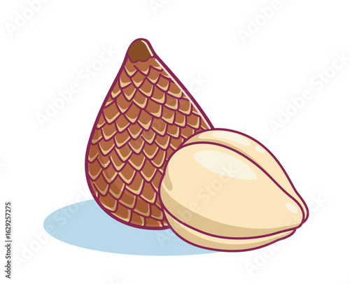 snake fruit with scaly skin. illustration of Whole and Peeled Salak