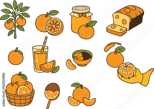 Orange Fruit and Food Illustrations.
