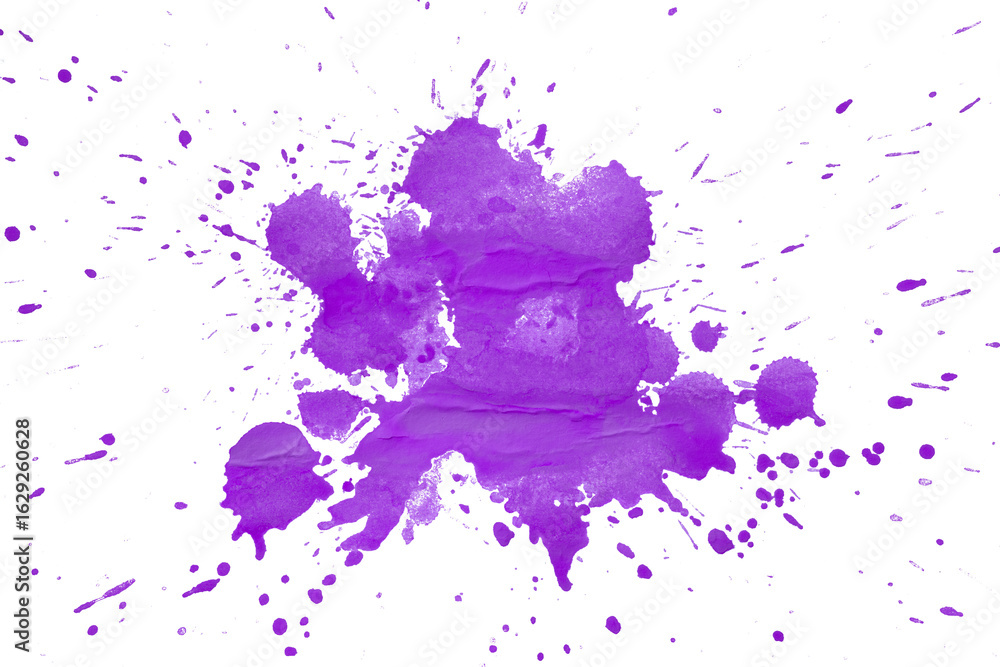 Fototapeta premium Purple splash watercolor brush isolated on transparent background