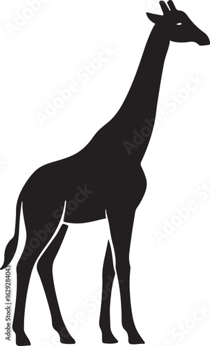 Black silhouette of a giraffe standing isolated on white background