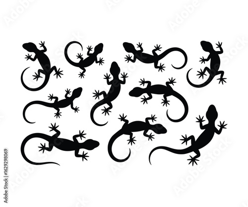 Lizard silhouettes collection