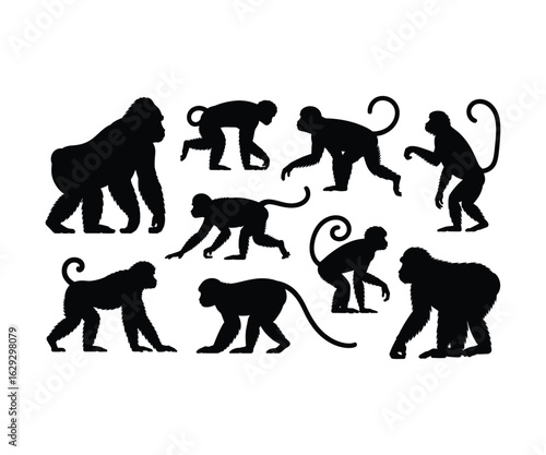 Monkey silhouettes collection