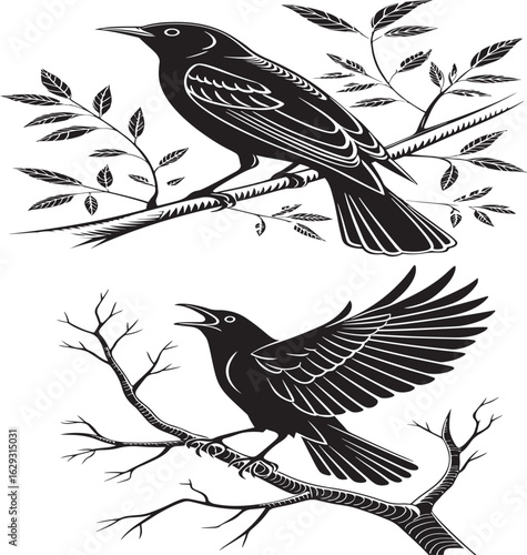 Brewers blackbird silhouette vector style with white background .