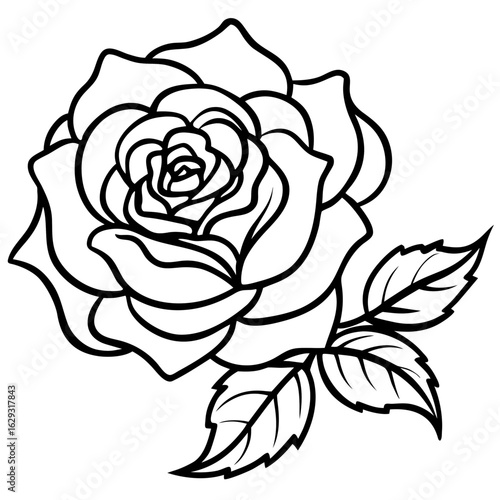 Elegant black and white line art drawing of a blooming rose with detailed petals and leaves