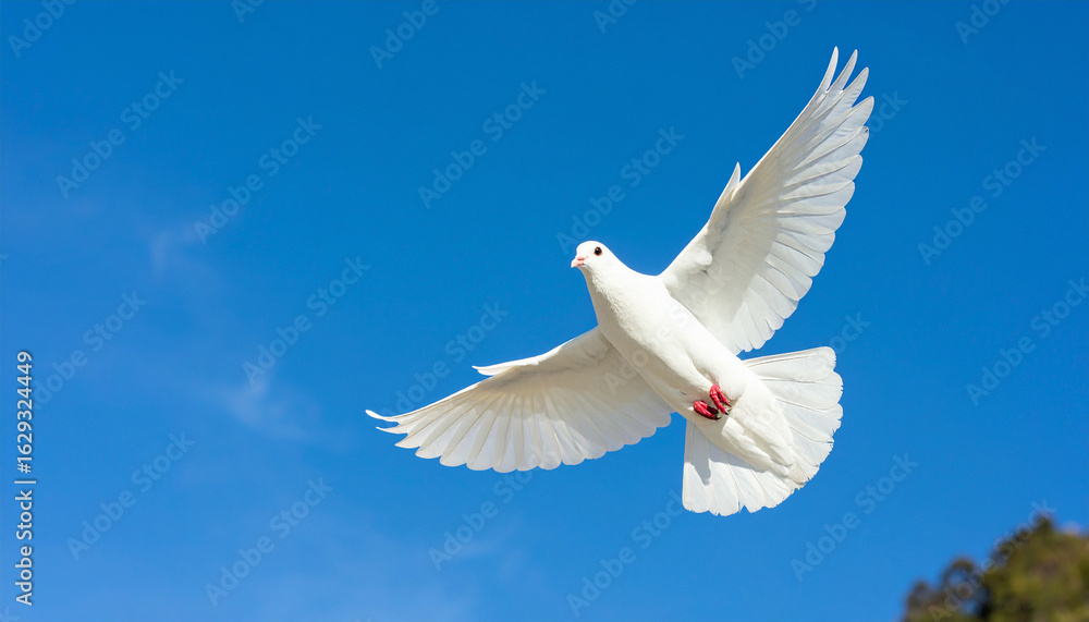 Obraz premium Dove flying in blue sky symbolizing International Day of Peace and harmony