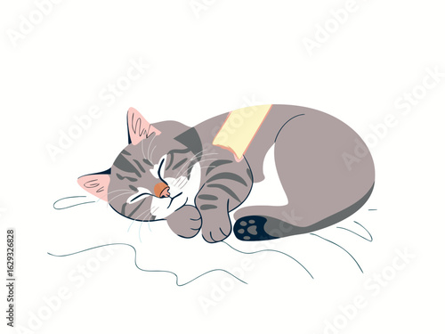 Adorable Tabby Cat Sleeping Peacefully on a White Surface kitten napping