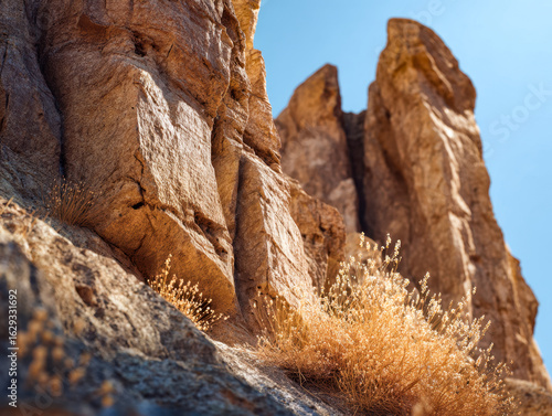 Rugged desert rock formations with sparse dry vegetation under a clear blue sky