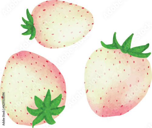 Hand drawn strawberry Vector