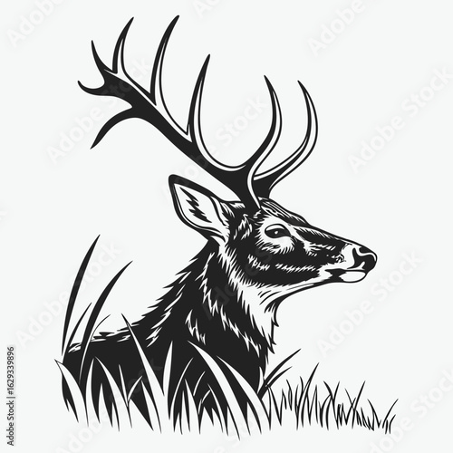 Deer Head Isolated on White Background – Realistic Wildlife Taxidermy, Animal Trophy Wall Mount, Stag Antlers, Forest Animal Portrait for Nature, Hunting, Rustic, or Cabin Decor Concepts

