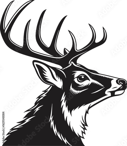 Deer Head Isolated on White Background – Realistic Wildlife Taxidermy, Animal Trophy Wall Mount, Stag Antlers, Forest Animal Portrait for Nature, Hunting, Rustic, or Cabin Decor Concepts

